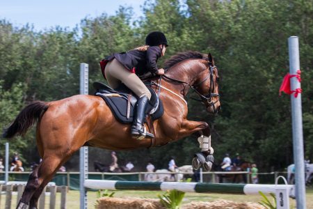 person riding a horse